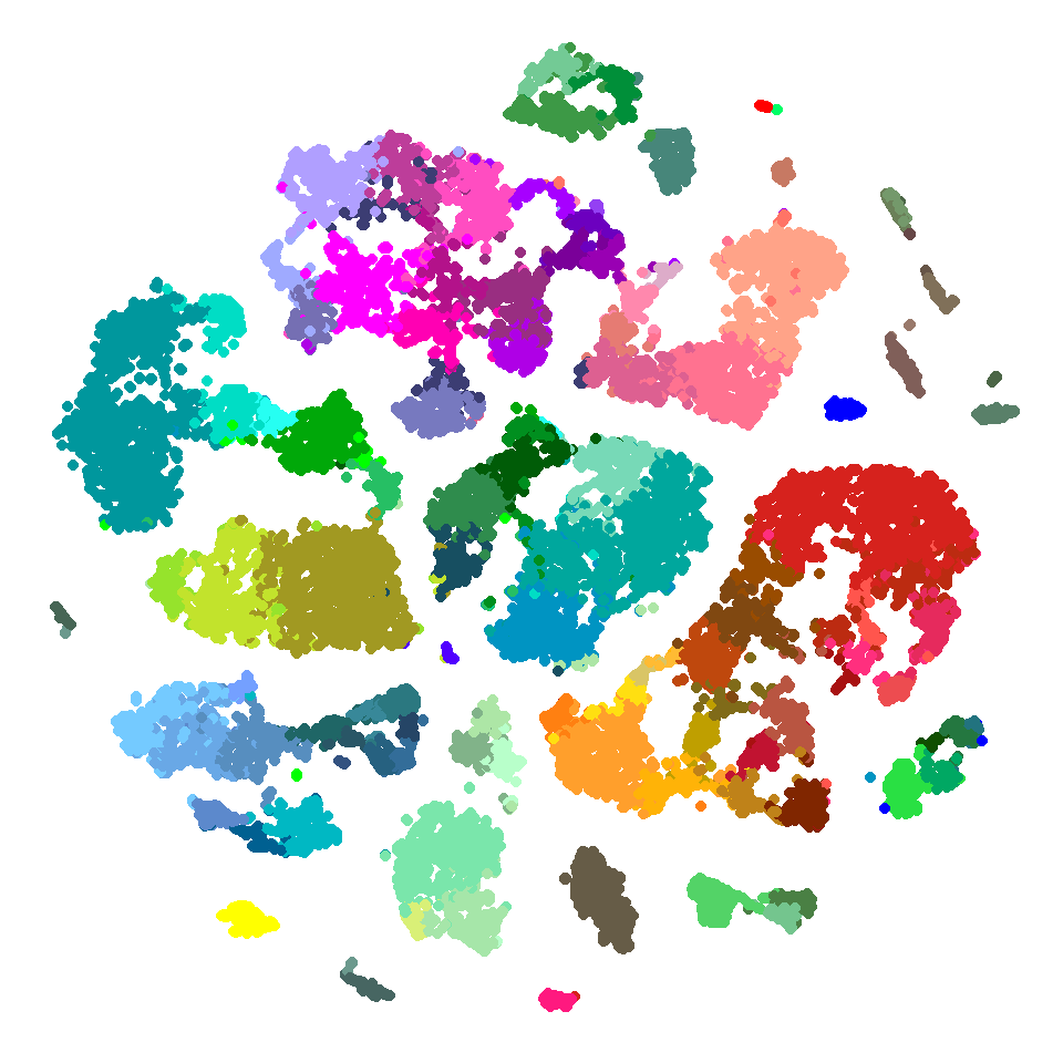 Using gganimate and tweenr to animate a tSNE plot